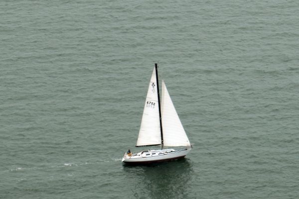 San Francisco Aerial Photography - Sail Boat